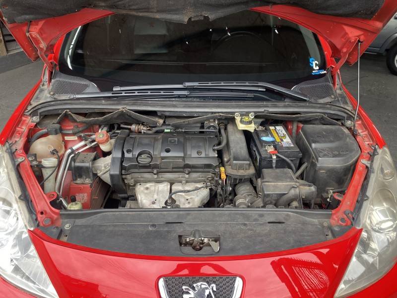 PEUGEOT - 307 - 2009/2009 - Vermelha - R$ 31.900,00